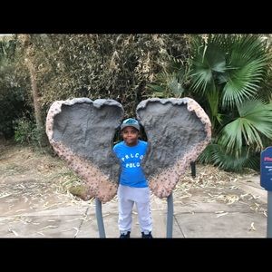 Meet your Posher, Henry